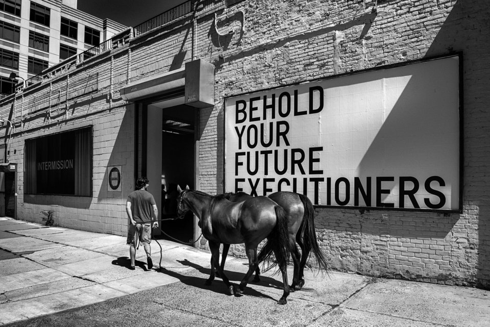 Τα σπάνια κοχύλια του Μυταρά και τα λογοκριμένα άλογα του Κουνέλλη [εικόνες]   | iefimerida.gr 5