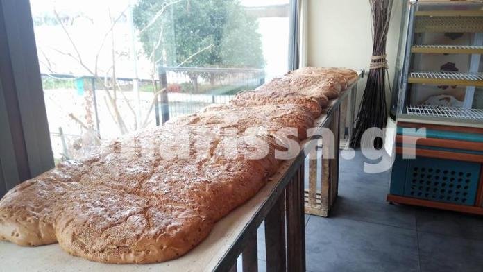 Λάρισα: Λαγάνα 3 μέτρων και 65 κιλών στον Αγιόκαμπο [εικόνες] | iefimerida.gr 1