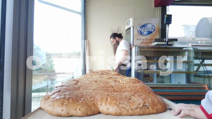 Λάρισα: Λαγάνα 3 μέτρων και 65 κιλών στον Αγιόκαμπο [εικόνες] | iefimerida.gr 0
