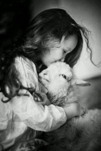 Πέραμα: Ζωόφιλοι μοίρασαν φυλλάδια κατά της Τσικνοπέμπτης [εικόνα] | iefimerida.gr 0