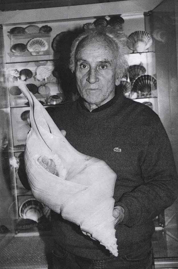 Τα σπάνια κοχύλια του Μυταρά και τα λογοκριμένα άλογα του Κουνέλλη [εικόνες]   | iefimerida.gr 0