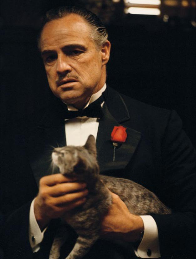 Το παρασκήνιο της ταινίας «Ο Νονός» -Η απίστευτη λεπτομέρεια που σοκάρει [εικόνες] | iefimerida.gr 3