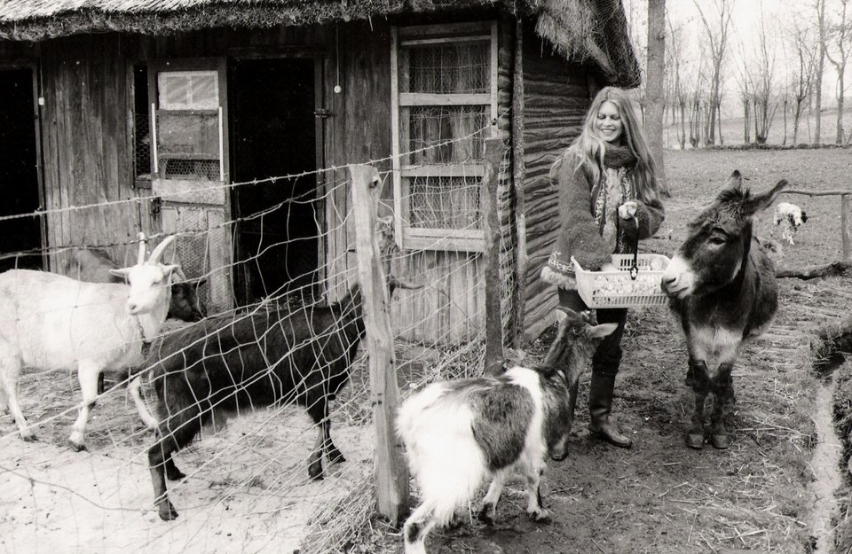 Ο θρύλος Μπριζίτ Μπαρντό, 82 ετών, στηρίζει τη Μαρίν Λεπέν [εικόνες] | iefimerida.gr 10