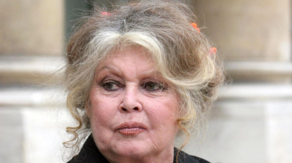 Ο θρύλος Μπριζίτ Μπαρντό, 82 ετών, στηρίζει τη Μαρίν Λεπέν [εικόνες] | iefimerida.gr 0