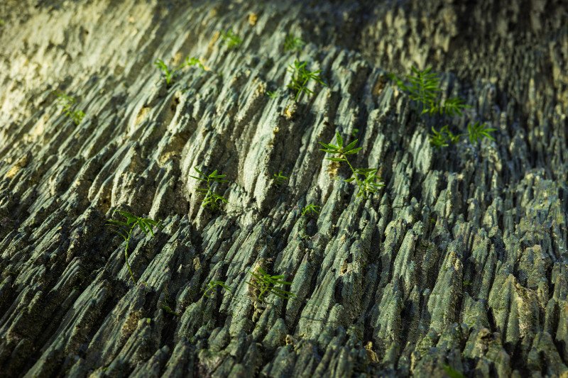 Προσπάθειες στο Βιετνάμ για να σωθεί η μεγαλύτερη σπηλιά του κόσμου [εικόνες] | iefimerida.gr 0
