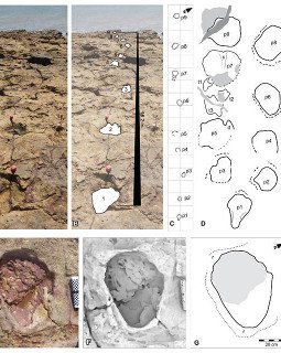 Αυστραλία: Βρέθηκε το μεγαλύτερο αποτύπωμα δεινοσαύρου [εικόνες&βίντεο] | iefimerida.gr 0