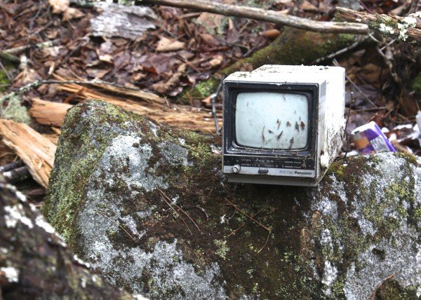 Σύγχρονος ερημίτης: Πώς ένας άντρας κατάφερε να επιβιώσει για 27 χρόνια μέσα στο δάσος [εικόνες] | iefimerida.gr 6