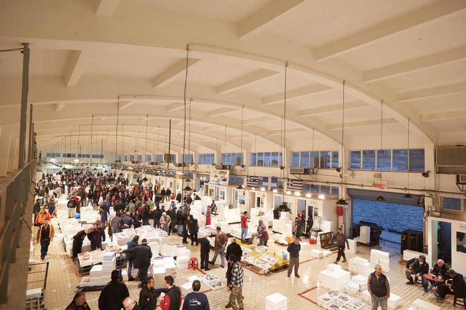 Στην Ιχθυόσκαλα Κερατσινίου τα ξημερώματα της Πέμπτης ο Κυριάκος Μητσοτάκης [εικόνες] | iefimerida.gr 3