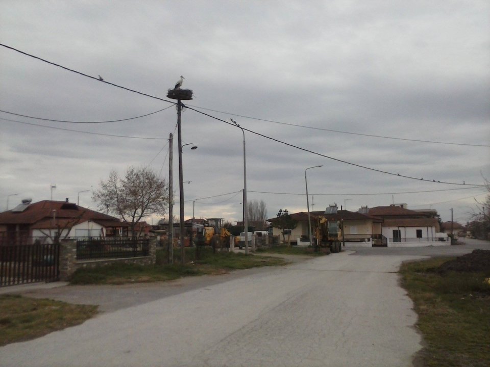 Στο χωριό των πελαργών -Ο Παντελής επιστρέφει κάθε χρόνο στην ίδια φωλιά [εικόνες] | iefimerida.gr 1