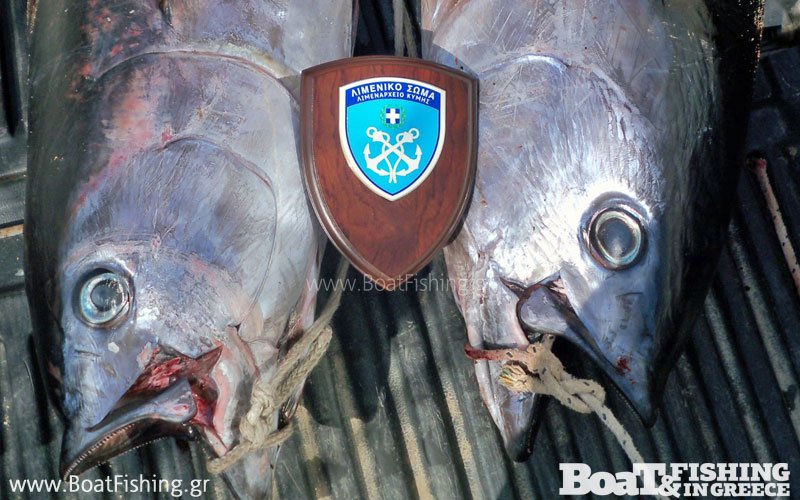 Τεράστια ψάρια που μόλις είχαν βγάλει ψαράδες κατέσχεσε το Λιμενικό στην Κύμη [εικόνες] | iefimerida.gr 1