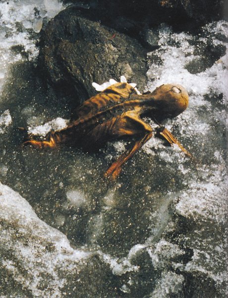 Η μούμια των Αλπεων «μίλησε»: Τι συνέβη σε αυτόν τον άνθρωπο της Εποχής του Χαλκού, πριν 5.000 χρόνια [εικόνες] | iefimerida.gr 0