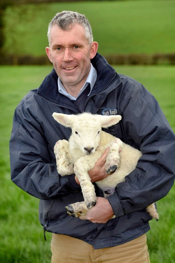 Αγγλία: Γεννήθηκε σπάνιο κατσικάκι με πέντε πόδια [εικόνες] | iefimerida.gr 2