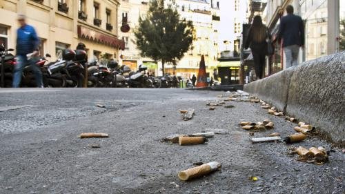 Το Παρίσι γέμισε ποντίκια -Τα 10 μέτρα που θα πάρει η δήμαρχος [εικόνες] | iefimerida.gr 4