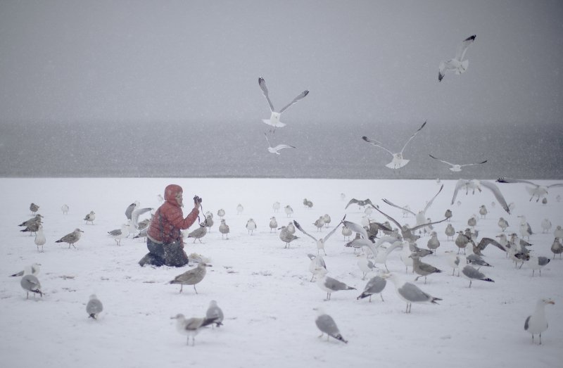 Η «Στέλλα» θα χτυπήσει στις βορειοανατολικές ΗΠΑ -Σφοδρό κύμα κακοκαιρίας [εικόνες]  | iefimerida.gr 1