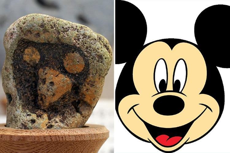 Πέτρες που μοιάζουν με πρόσωπα σε Μουσείο της Ιαπωνίας -Μία είναι ίδια ο Ελβις [εικόνες]  | iefimerida.gr 2