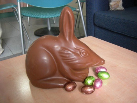 Γιατί εκτός από κόκκινα αυγά, έχουμε και κουνέλια το Πάσχα [εικόνες] | iefimerida.gr 2