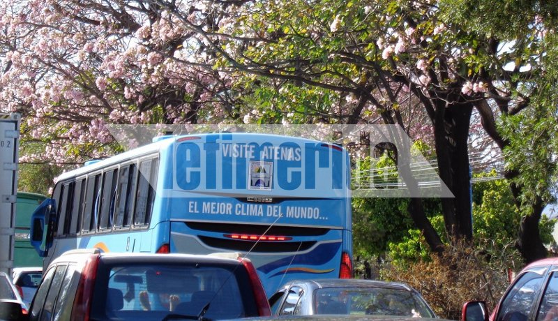 Το iefimerida στην Κόστα Ρίκα, τη χώρα με τους πιο ευτυχισμένους ανθρώπους -«Καθαρή ζωή» το σύνθημα τους [εικόνες & βίντεο] | iefimerida.gr 5