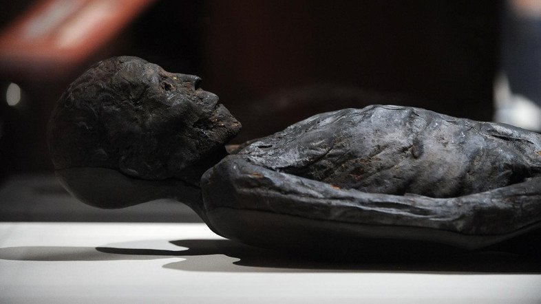 Εξι μούμιες αποκάλυψαν αρχαιολόγοι σε φαραωνικό τάφο στην Αίγυπτο [εικόνα]  | iefimerida.gr 1