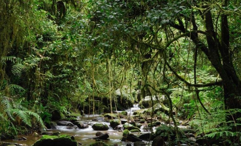 Tα 10 μέρη του κόσμου που πρέπει να επισκεφτείς πριν εξαφανιστούν από το χάρτη [εικόνες] | iefimerida.gr 9
