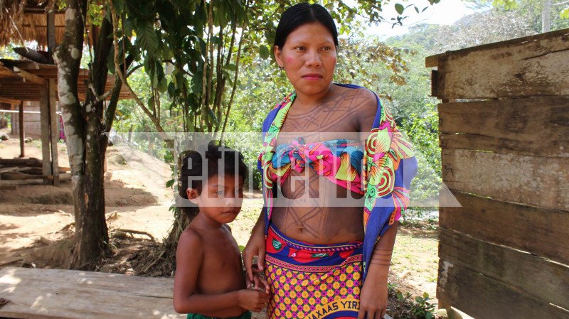 Το iefimerida στη φυλή ιθαγενών Εμπερά στον Παναμά –Ζουν σε καλύβες χωρίς ηλεκτρικό, ίντερνετ και κινητά [εικόνες & βίντεο] | iefimerida.gr 11