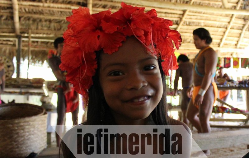 Το iefimerida στη φυλή ιθαγενών Εμπερά στον Παναμά –Ζουν σε καλύβες χωρίς ηλεκτρικό, ίντερνετ και κινητά [εικόνες & βίντεο] | iefimerida.gr 18