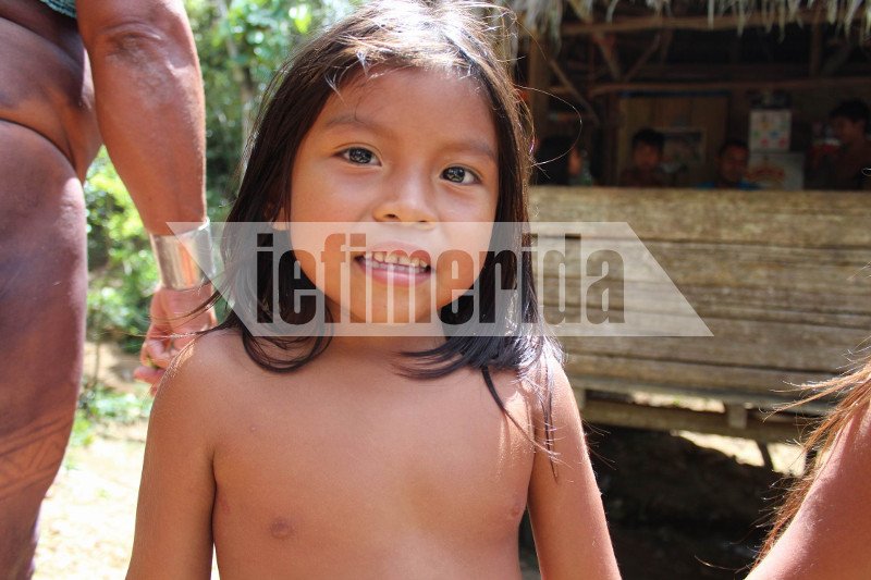 Το iefimerida στη φυλή ιθαγενών Εμπερά στον Παναμά –Ζουν σε καλύβες χωρίς ηλεκτρικό, ίντερνετ και κινητά [εικόνες & βίντεο] | iefimerida.gr 4