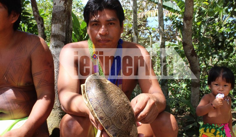 Το iefimerida στη φυλή ιθαγενών Εμπερά στον Παναμά –Ζουν σε καλύβες χωρίς ηλεκτρικό, ίντερνετ και κινητά [εικόνες & βίντεο] | iefimerida.gr 5