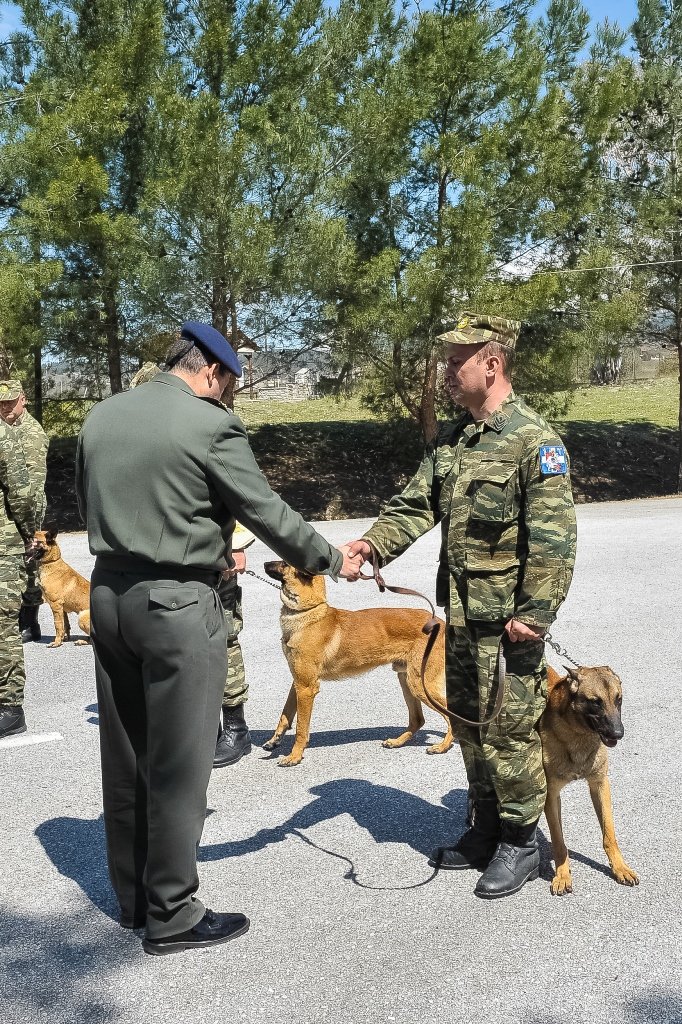 Βράβευσαν τη... μαμά του στρατοπέδου -Η σκυλίτσα που γέννησε τα 43 κουτάβια του Στρατού [εικόνες] | iefimerida.gr 2