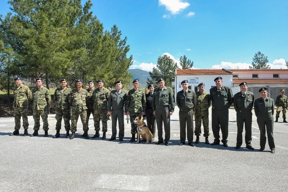 Βράβευσαν τη... μαμά του στρατοπέδου -Η σκυλίτσα που γέννησε τα 43 κουτάβια του Στρατού [εικόνες] | iefimerida.gr 3