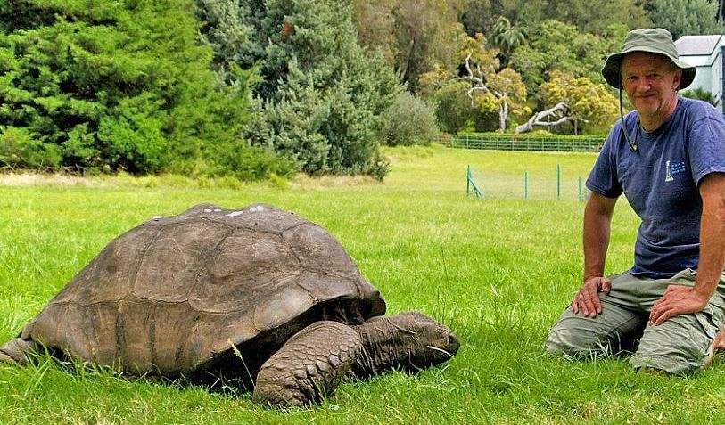 Μια ελιά 4.000 χρόνων στην Κρήτη, φύκια 100.000 ετών στις Βαλεαρίδες -Ο,τι παλαιότερο στον πλανήτη [εικόνες] | iefimerida.gr 3