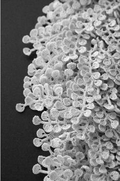 Νέα μόδα: Κοσμήματα από... βελονάκι! [εικόνες] | iefimerida.gr 4