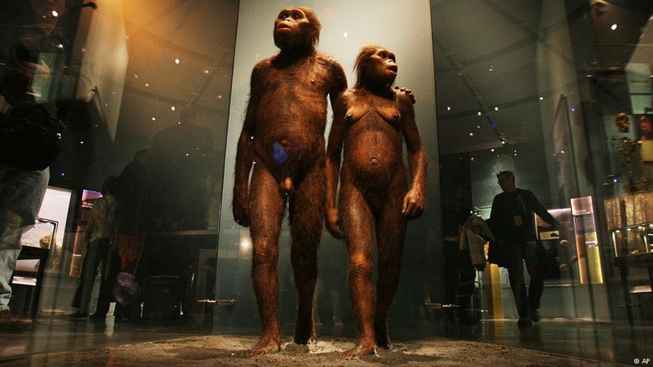 Νέα έρευνα: Ο πρώτος άνθρωπος εμφανίστηκε, πιθανώς, στην Ελλάδα [εικόνες] | iefimerida.gr 2