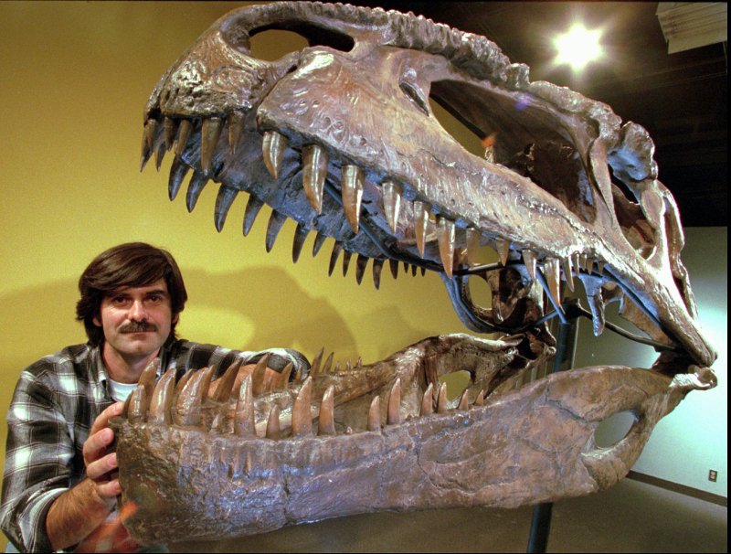 BBC: Γιατί οι δεινόσαυροι θα ζούσαν ακόμη (κι όχι εμείς), αν ο αστεροειδής είχε πέσει 30 δευτ. μετά [εικόνες] | iefimerida.gr 3