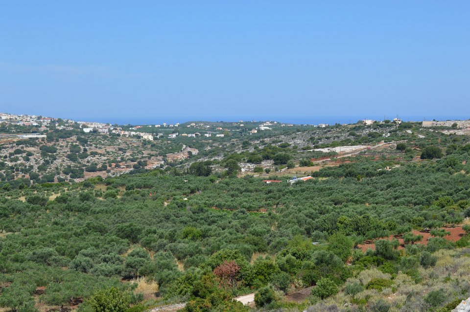 Στον Αργουλιδέ Χανίων θα ταφεί την Πέμπτη ο Κωνσταντίνος Μητσοτάκης -Ο χώρος, ο σχεδιασμός και η επιλογή [εικόνες] | iefimerida.gr 0
