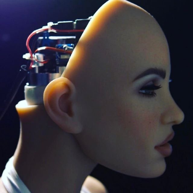 Guardian: Καλωσήρθατε στον περίεργο κόσμο των sex robots [εικόνες] | iefimerida.gr 0