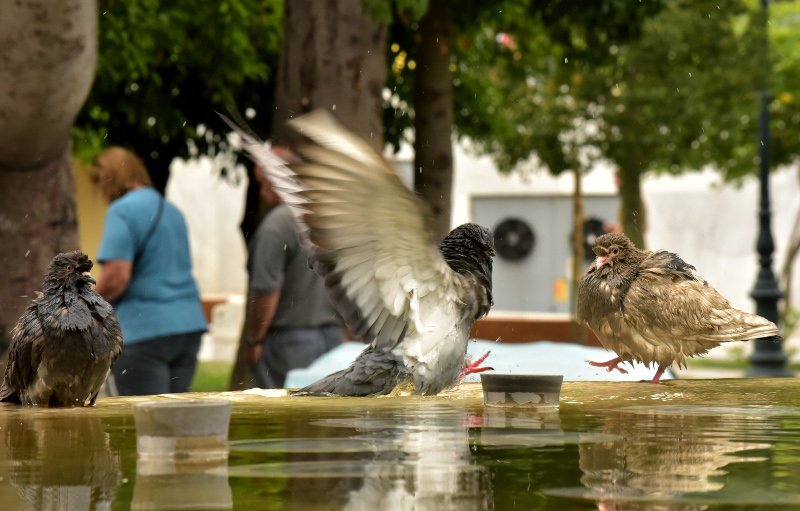 Αφόρητη ζέστη στο κέντρο της Αθήνας, οάσεις δροσιάς τα συντριβάνια! [εικόνες] | iefimerida.gr 4