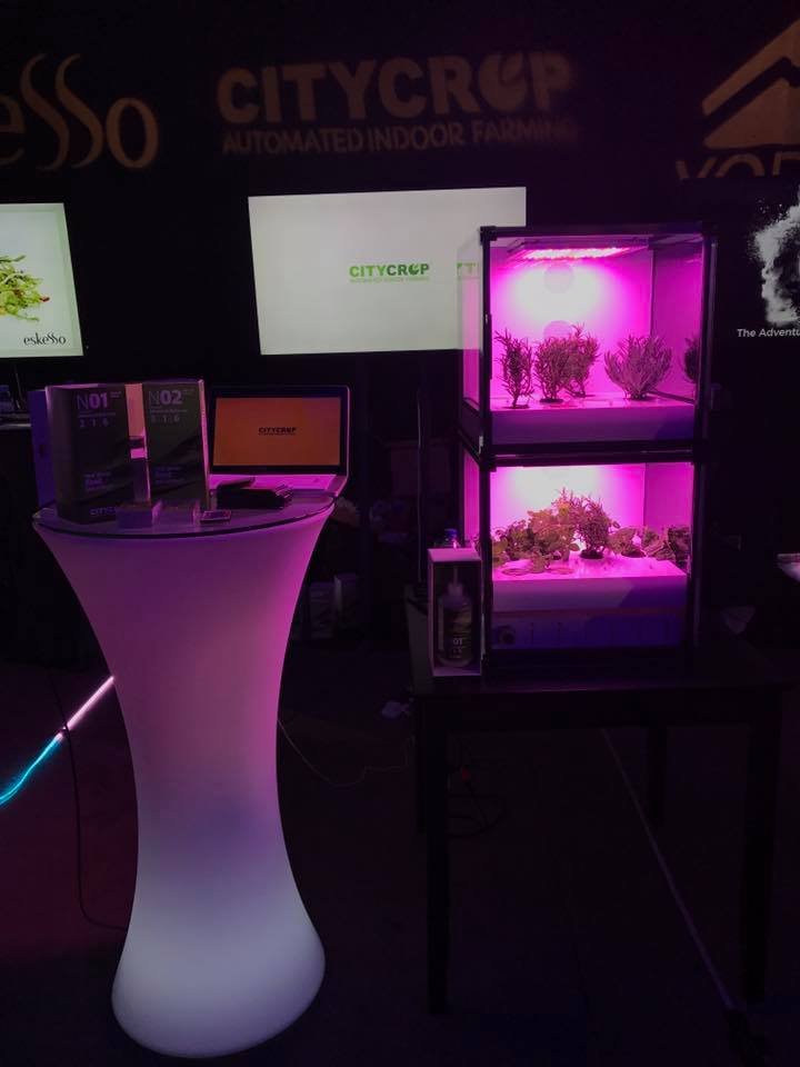 Ελληνική συσκευή καλλιεργεί λαχανικά μέσα στο σπίτι -Σαν βιτρίνα [εικόνες & βίντεο]  | iefimerida.gr 0