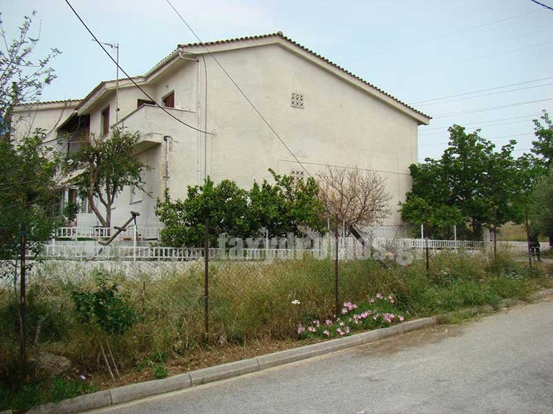 Εγκλημα στο Βόλο: Δολοφονήθηκε μέσα στο σπίτι του 37χρονος, βασικός ύποπτος ο αδελφός του [εικόνες & βίντεο] | iefimerida.gr 1