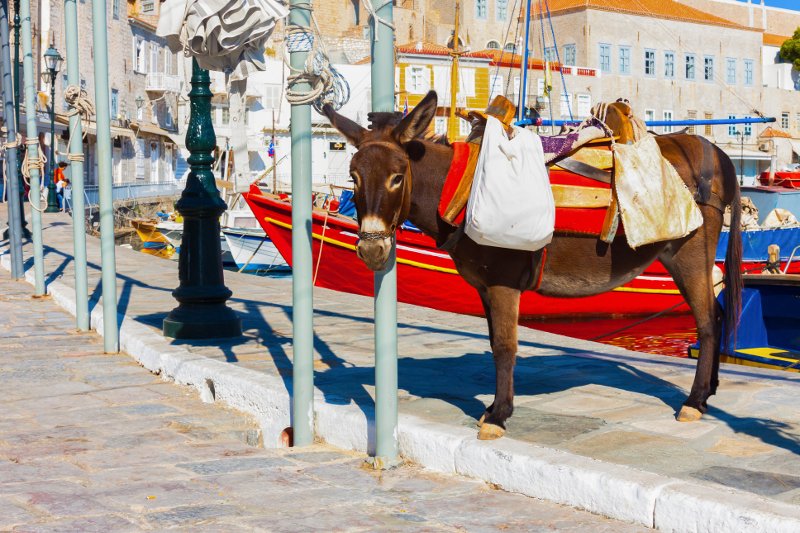 Τα 4 ελληνικά νησιά που λατρεύουν οι σταρ του Χόλιγουντ [εικόνες] | iefimerida.gr 7