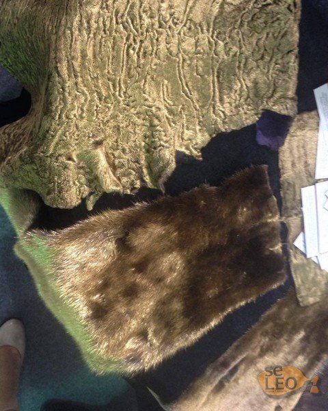 Καστοριά: Εφτιαξαν γούνα... 24 καρατίων – Εμποτισμένη με ίνες χρυσού [εικόνες] | iefimerida.gr 2