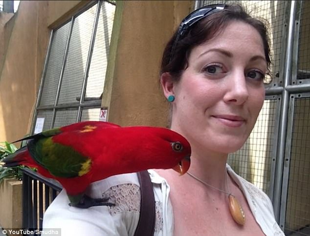 Νύφη φορούσε επί έναν χρόνο το δαχτυλίδι των αρραβώνων της, χωρίς να το καταλάβει! [εικόνες] | iefimerida.gr 6