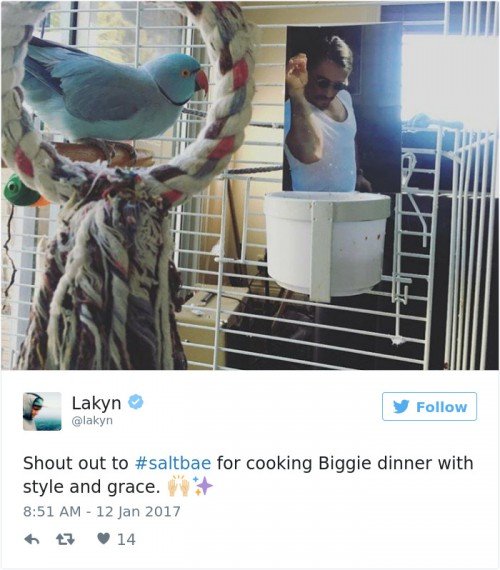 Ποιος είναι ο Τούρκος κρεοπώλης που τάισε το Survivor -Η κίνησή του που τον έκανε viral και την κάνουν όλοι οι σταρ [εικόνες] | iefimerida.gr 7