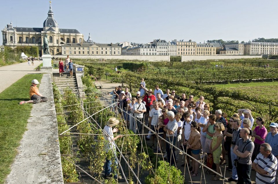 Ο λαχανόκηπος του βασιλιά στις Βερσαλίες: 9 στρέμματα μαγείας, ως σήμερα [εικόνες] | iefimerida.gr 3