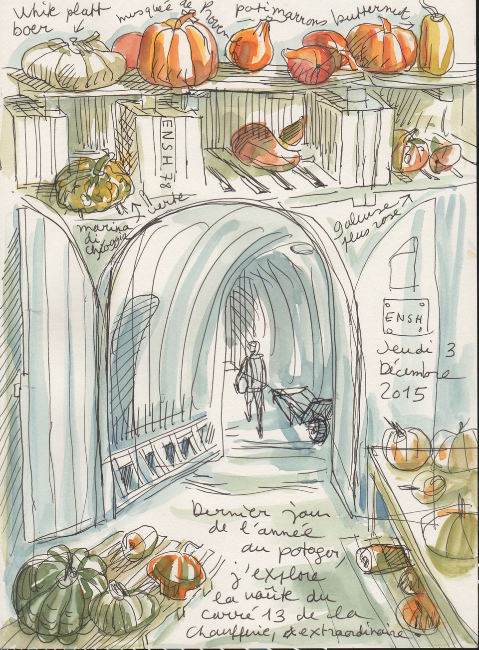 Ο λαχανόκηπος του βασιλιά στις Βερσαλίες: 9 στρέμματα μαγείας, ως σήμερα [εικόνες] | iefimerida.gr 9