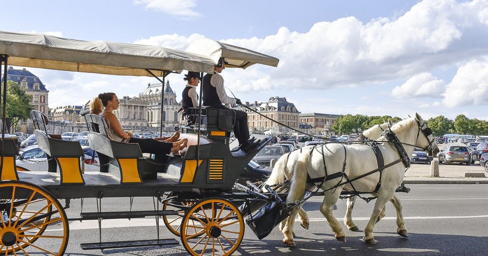 Ο λαχανόκηπος του βασιλιά στις Βερσαλίες: 9 στρέμματα μαγείας, ως σήμερα [εικόνες] | iefimerida.gr 13