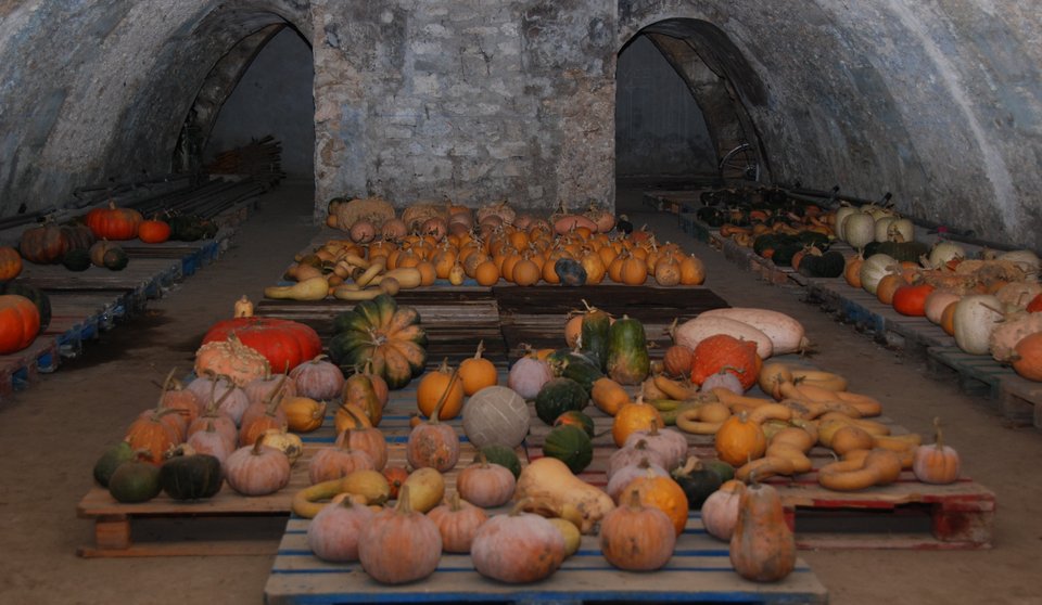 Ο λαχανόκηπος του βασιλιά στις Βερσαλίες: 9 στρέμματα μαγείας, ως σήμερα [εικόνες] | iefimerida.gr 10
