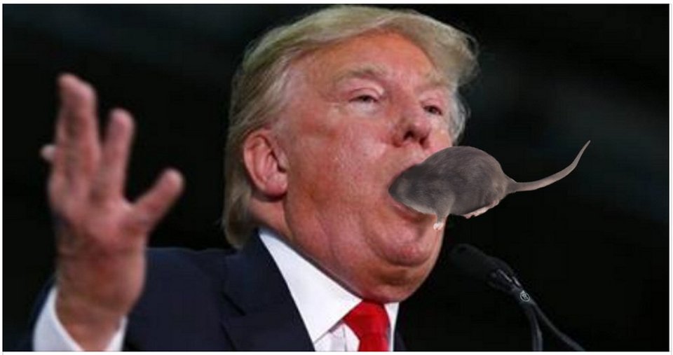 Πώς είδαν οι Βέλγοι τον Τραμπ -Τους είχε αποκαλέσει «ποντικότρυπα» [εικόνες] | iefimerida.gr 2