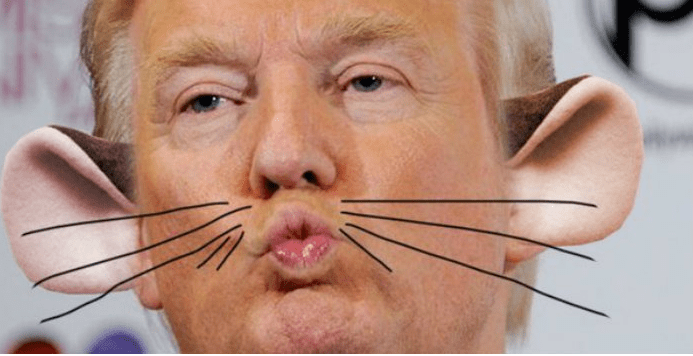 Πώς είδαν οι Βέλγοι τον Τραμπ -Τους είχε αποκαλέσει «ποντικότρυπα» [εικόνες] | iefimerida.gr 0