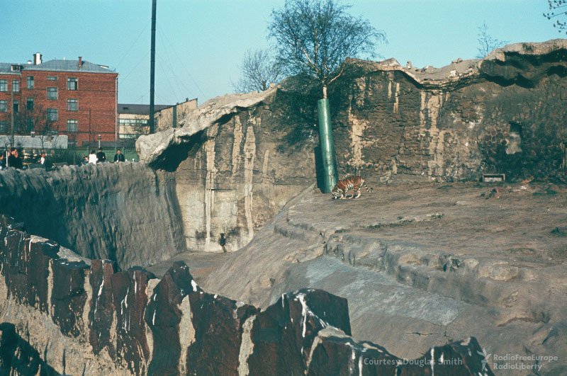 Η ΕΣΣΔ του '50 μέσα από τον φακό Αμερικανού κατασκόπου -Η κηδεία του Στάλιν, η καθημερινότητα [εικόνες] | iefimerida.gr 15