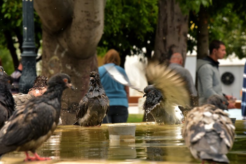 Αφόρητη ζέστη στο κέντρο της Αθήνας, οάσεις δροσιάς τα συντριβάνια! [εικόνες] | iefimerida.gr 8